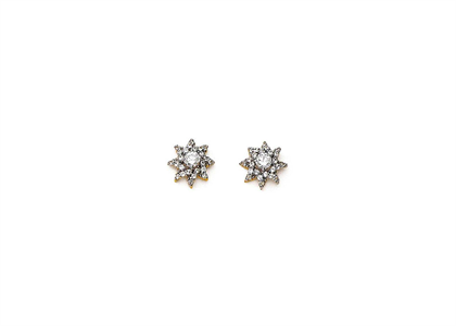 Gold Plated | Fashion Earrings